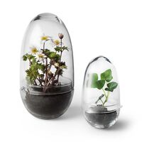 Grow Minidrivhus S Klar