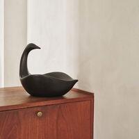 Swan Koriste