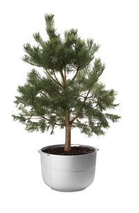 Linea Krukke Aluminium No 2 Medium