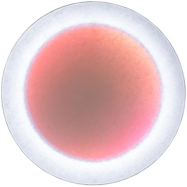 MoodMoon Væg-/Loftslampe 60 cm Hvid