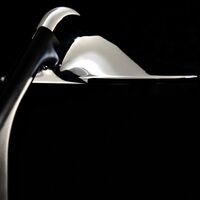 Niwaki Bordlampe Sort / Krom