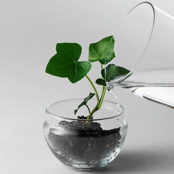 Grow Minidrivhus S Klar