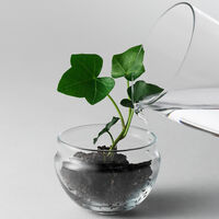 Grow Minidrivhus S Klar