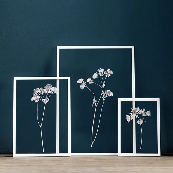 Frame A3 Ram 317x44 cm Vit
