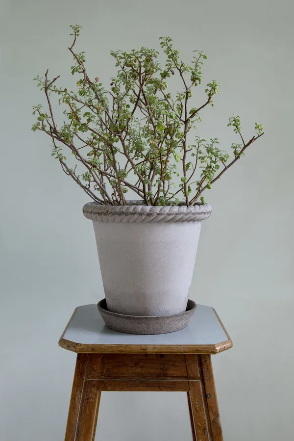 Emilia Krukke Grå 30 cm