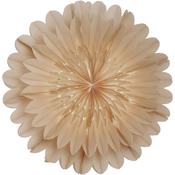 Lotus 60 Joulutähti Beige