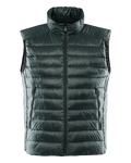 AURORA GREEN