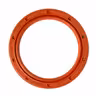 Dichtring