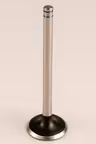 Exhaust valve