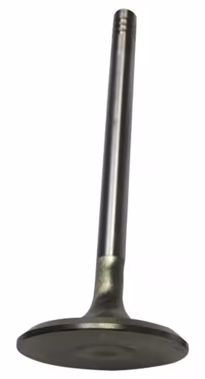 Uitlaatklep voor Volvo B20, B30, 38mm