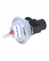 Vacuum valve