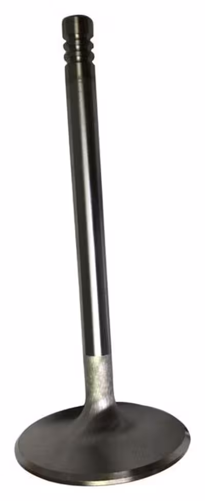 Inlaatklep RACE 48mm voor Volvo B21, B200, B230, 48 mm, 48MM