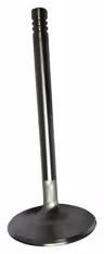Inlet valve