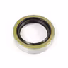 Oil seal
