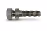 Screw