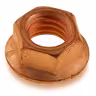 Nut