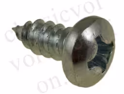 Skrue B12X12 RXS for Volvo Amazon, Amazon Kombi, 1800