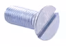 Screw