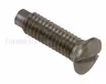Screw