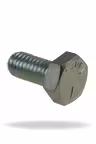 Screw