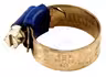 Hose clamp