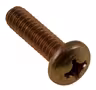 Screw