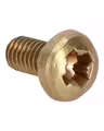 Screw