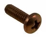 Screw