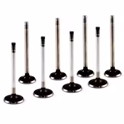 Ventilsats till Volvo B20A, B20B, B30A, Volvo OE 419640-SET