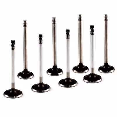 Ventilsats till Volvo B20A, B20B, B30A, Volvo OE 419640-SET