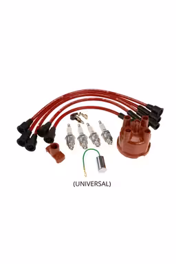 Tenningssystem for Volvo Amazon, B16B