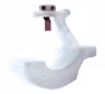 Flottör