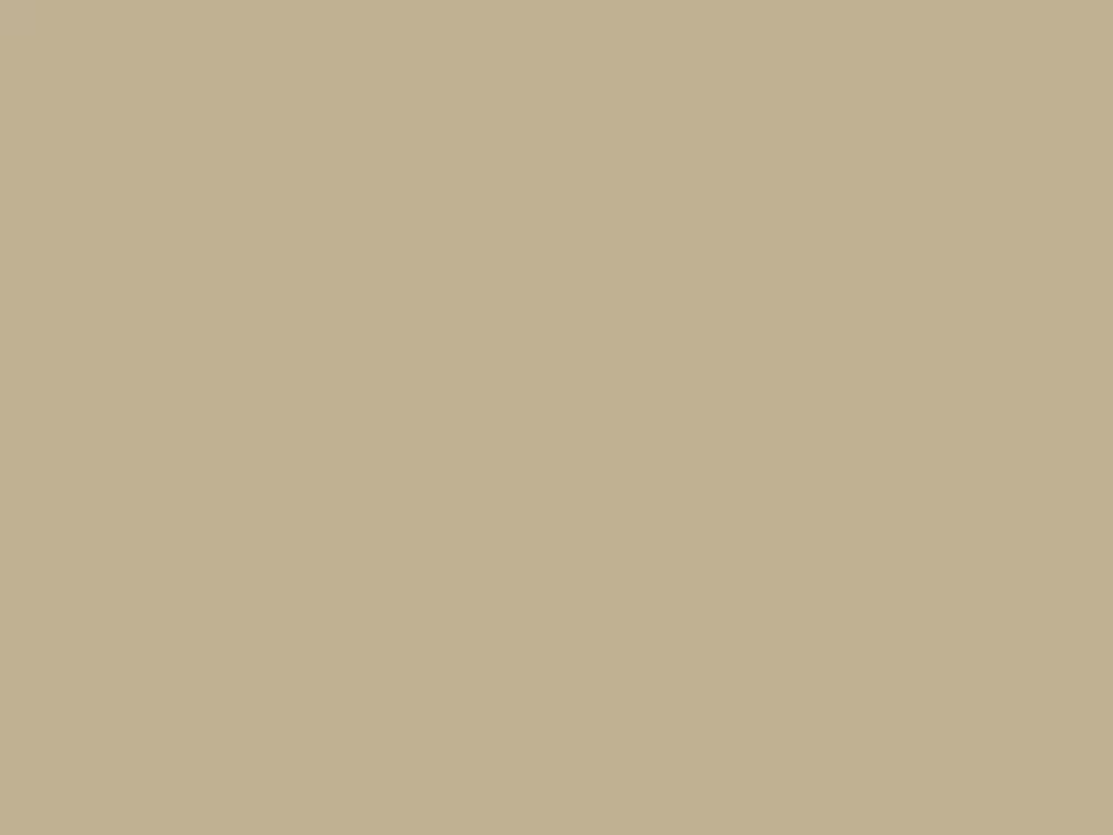 Lakk 119 Beige metallic, spray