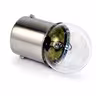 Bulb, tail light