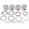 Piston kit, std class D