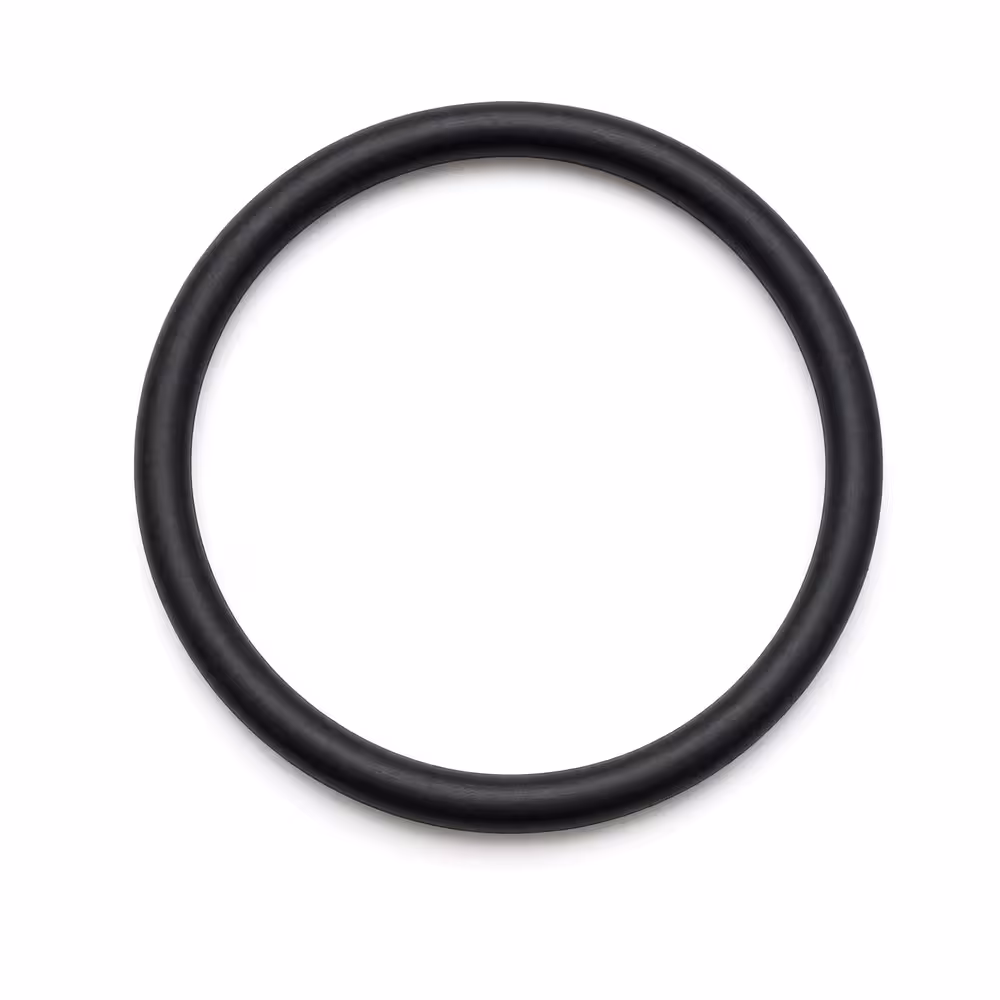 O-ring bremseservo B20