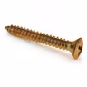 Screw