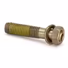 Screw with seal