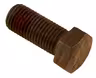 Screw