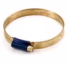 Hose clip
