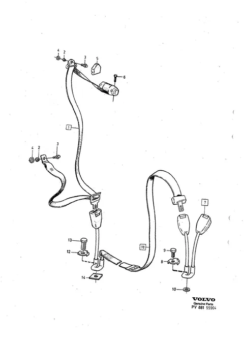 Seat belt rear
