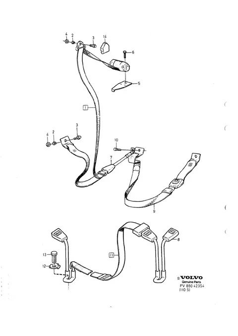 Seat belt rear