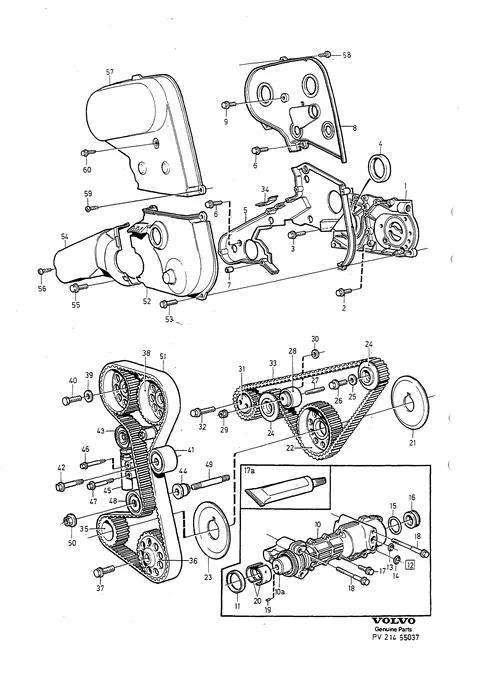 Belt transmission automatic belt tensioner