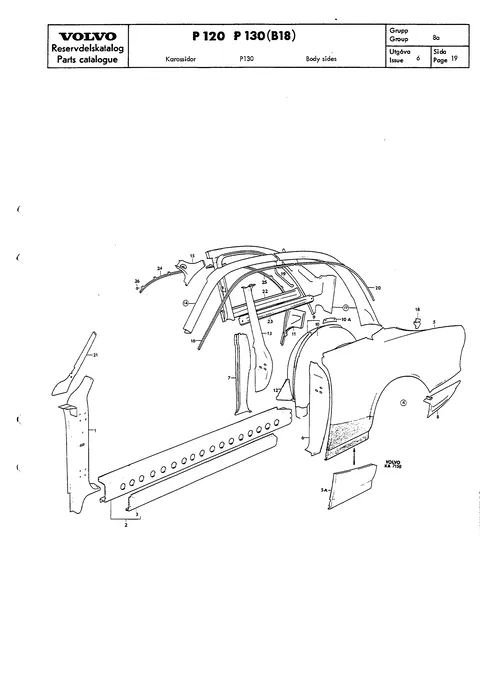 Body sides