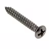 Screw