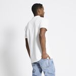 No image available - Thumbnail 2